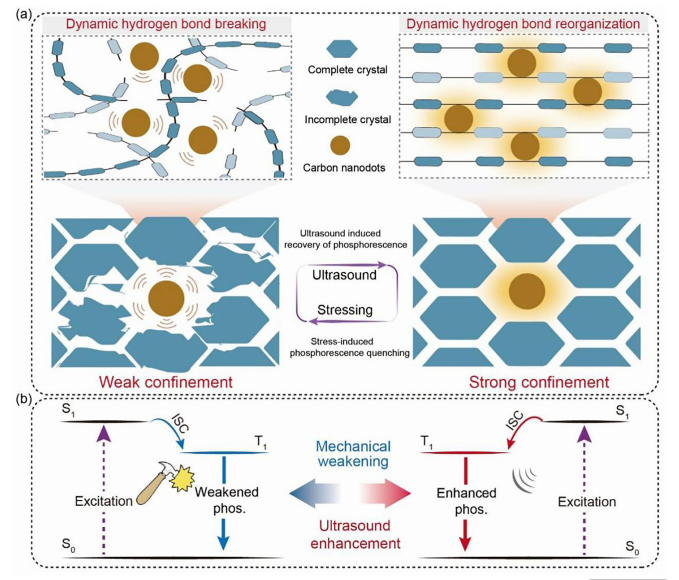 量子科技研究院梁亚川博士在综合...